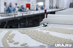 Завод построят в Боровском индустриальном парке