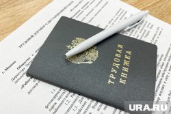 В ХМАО 279 копирайтеров ищут работу