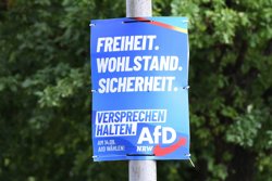 Агитационный плакат партии AfD гласит: «Здравый смысл. Держим слово»