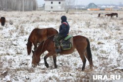 Катание на лошадях стоит 1200 рублей