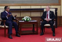 В ходе встречи Путина и Дени Сассу-Нгессо возникла заминка