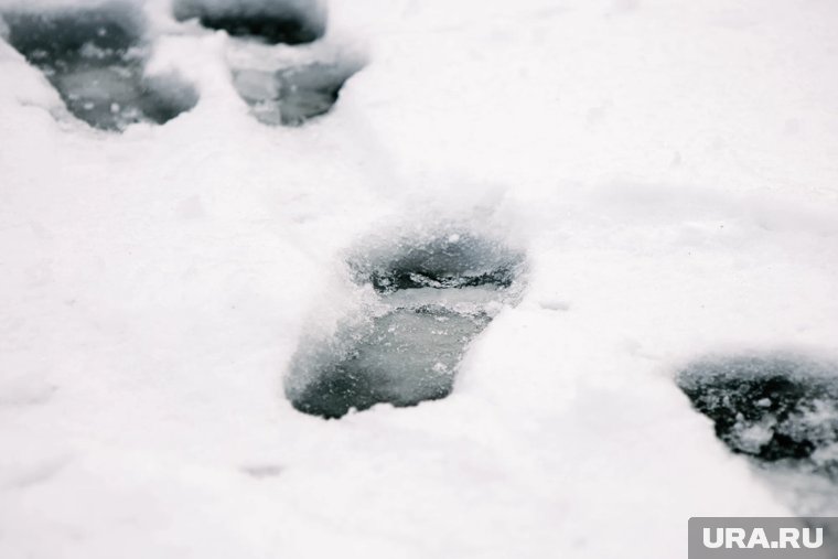 В теплую зиму важно избежать промерзания воды