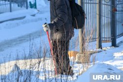 В Москве мужчину, забившего пенсионера, выпустили на свободу