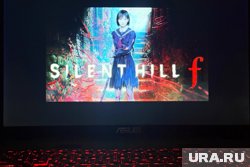 Курганские геймеры поделились опытом от нового японского хоррора Silent Hill f