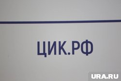 Предварительные результаты опубликовал избирком РФ