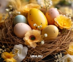 Куркума окрашивает яйца в желтый цвет