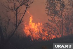 Курганцев предупреждают о вероятности весенних пожаров