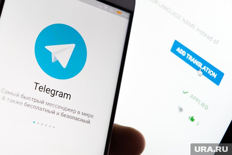 Telegram чат-бот начнет работу в тестовом режиме сегодня, 26 февраля 