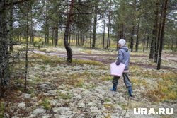 Собирать грибы в Челябинской области начали с середины весны
