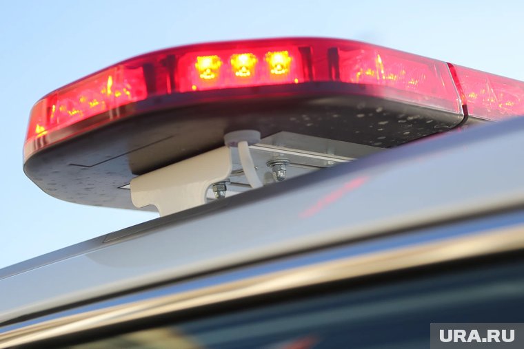 Суд над мужчиной состоялся в Сладковском районе