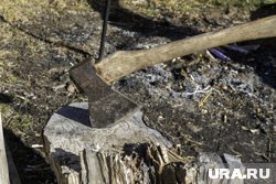 Артамонова называют раскольником, потому что он использовал топор для убийств 