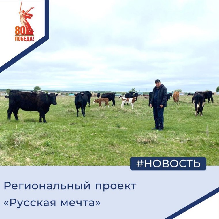 Фермер Ахметов со своими коровами