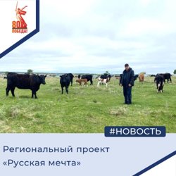 Фермер Ахметов со своими коровами
