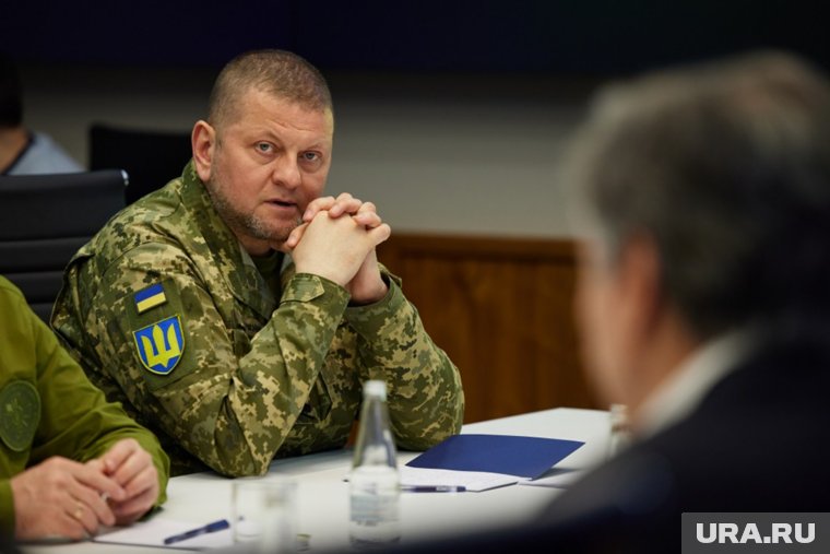 Залужный считает, что НАТО не сможет обеспечить Украину средствами борьбы