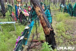 На кладбище под Курганом падают горелые деревья