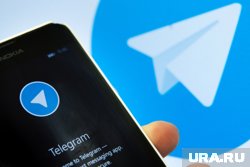 Telegram отказался удалять данные, в которых содержалось предложение о покупке поддельных документов