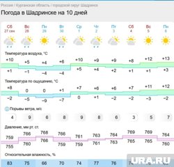 В Шадринске будет прохладно и сыро, но пока без снега