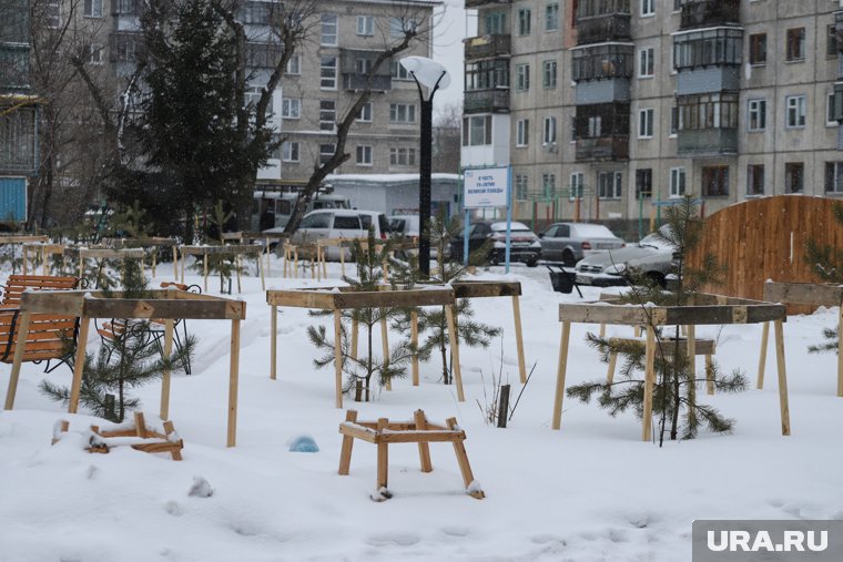 Саженцы в Надыме засыпало снегом из-за дворников (фото из архива)