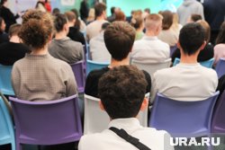 Школьникам из Мишкинского округа объяснили, какие знания и навыки требуются в профессии энергетика (архивное фото)