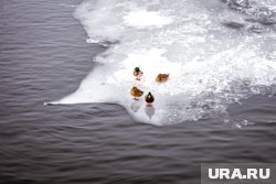 В ЯНАО водоемы на 70% покрылись льдом (фото из архива)