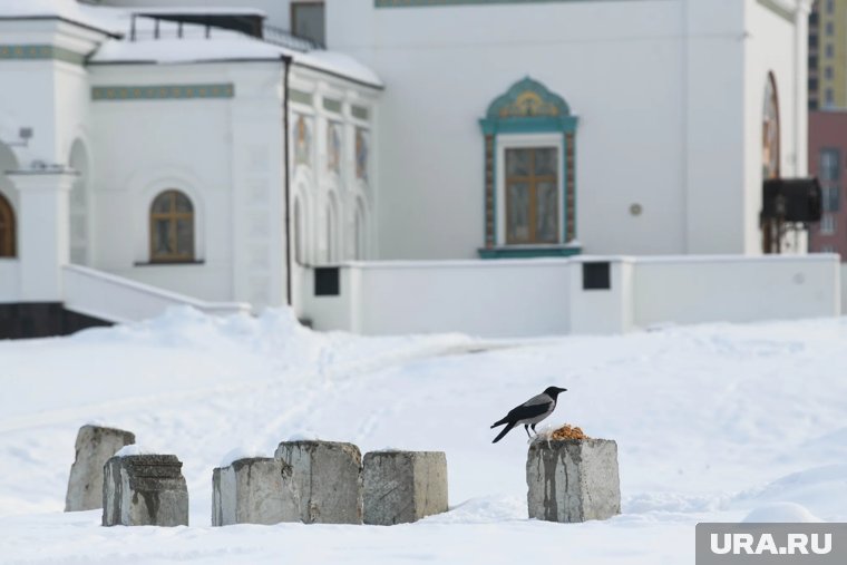 Если на Покров выпадал первый снег, зима обещала быть мягкой и доброй
