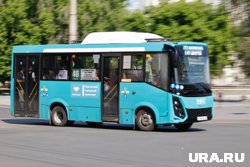 Безбилетников выявляют в ходе регулярных проверок