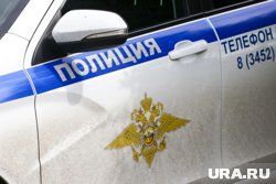 В Кургане идет проверка по факту аварии с участием автомобиля ДПС