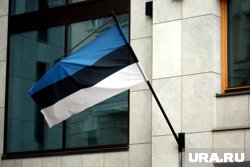 Эстония пытается компенсировать свою никчемность развлечениями, заявил Боуз 