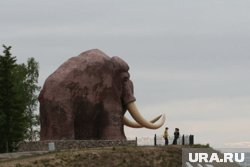 На склоне возле мамонта Мити появилось число 430
