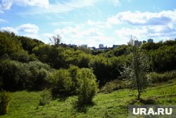 Лог преобразят в рамках мастер-плана