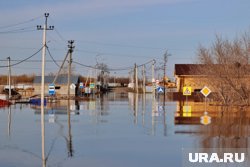 В зоне подтопления оказались десятки дачных участков (архивное фото)