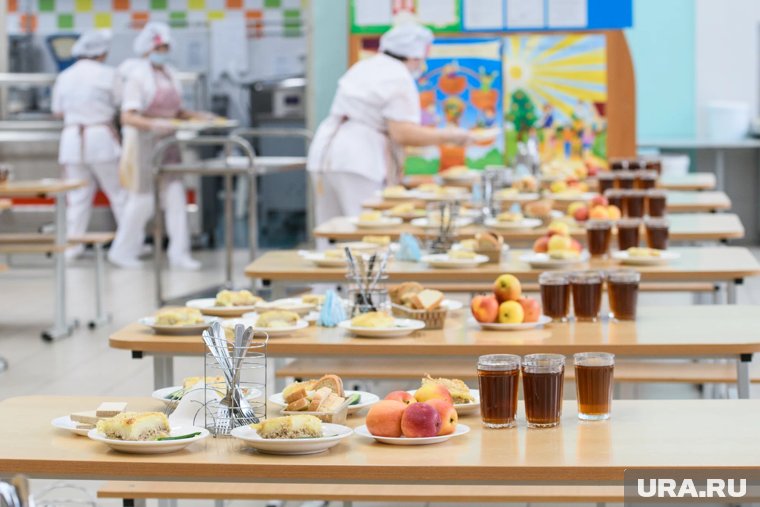 Получить кешбэк в размере 5% от суммы оплаты питания можно до конца года