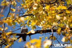 Первую половину месяца будут отличать не только минимальные осадки, но и большое количество солнечных дней
