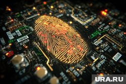 Каждому пятому пермяку предлагали сдать биометрию