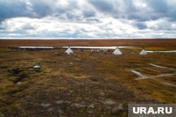 Основатель «Додо пиццы» Федор Овчинников провел полгода в ямальской тундре, кочуя с оленеводами