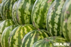 Отличить плохой арбуз можно по цвету мякоти