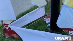 В Кургане неизвестные срывают и переклеивают агитацию кандидата на мусорки (архивное фото)