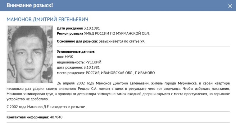 Карточка Дмитрия Мамонова