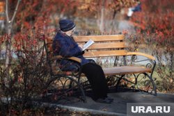 С 1 августа работающим пенсионерам повысят пенсию за счет пенсионных баллов за 2024 год