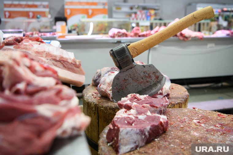 Жителей ХМАО предупредили о паразитах в мясе медведей и волков 