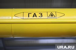 Долг за поставки газа стал предметом очередного спора в суде ММЗ и «Новатэка»