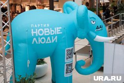 Жителям Кургана вместо денег за флаг «Новых людей» досталась наклейка со слоном