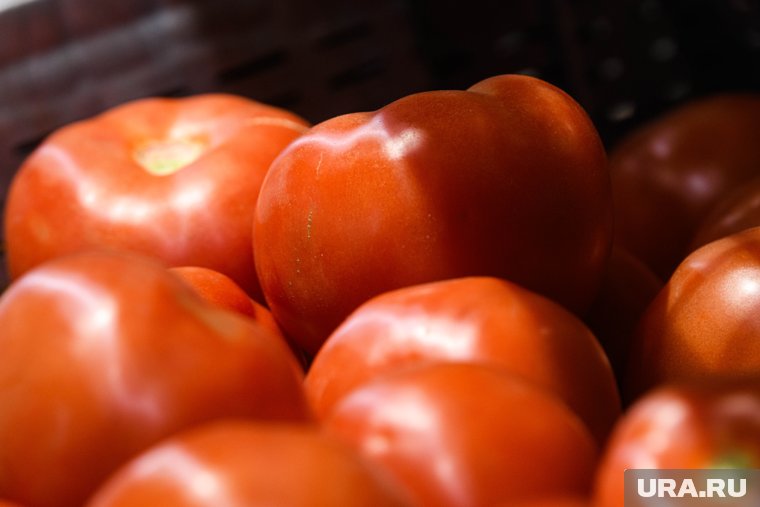 Потеря российского рынка приведет к переизбытку сельхозпродукции в Азербайджане