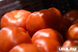 Потеря российского рынка приведет к переизбытку сельхозпродукции в Азербайджане