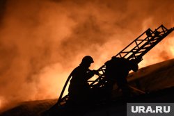 Площадь мощного пожара под Екатеринбургом выросла до 2000 квадратных метров