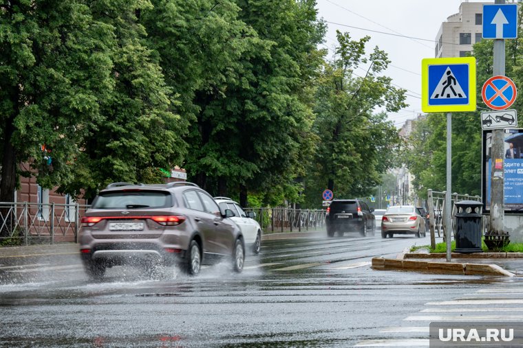 Неделя ожидается теплой и дождливой