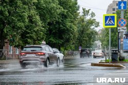 Неделя ожидается теплой и дождливой