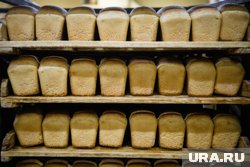 Активисты местной партии проверили ценники в продуктовых магазинах