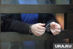Адвокатам Навального* хотят ужесточить сроки, прибавив им срок