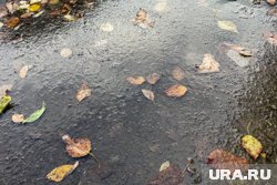 Температура опустится до -5 градусов сразу в нескольких городах России